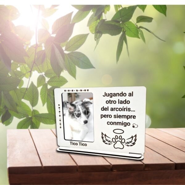 Marco conmemorativo mascotas